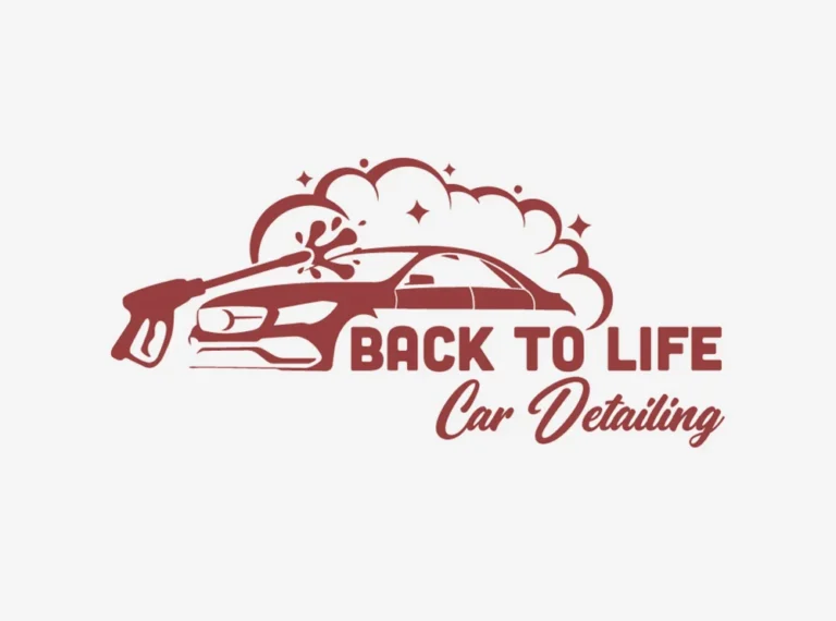Back To Life Car Detailing
